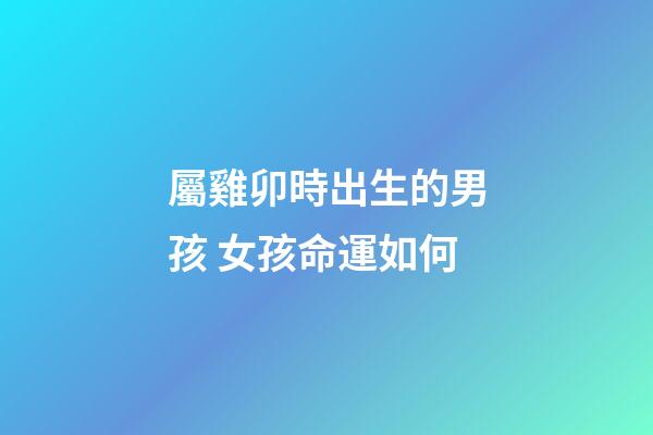 屬雞卯時出生的男孩 女孩命運如何